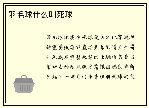羽毛球什么叫死球